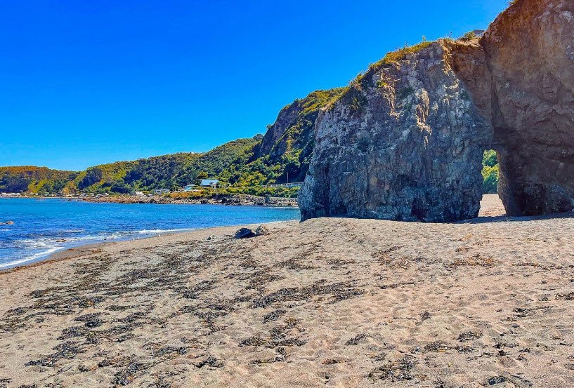 Breaker Bay , , New Zealand